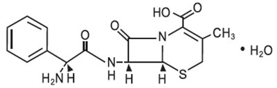 Chemical Structure (Cephalexin 01)