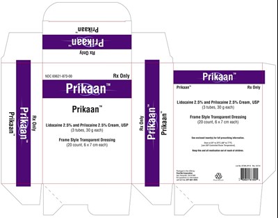 Image Description (Prikaan V4 Jn Ok Clean)