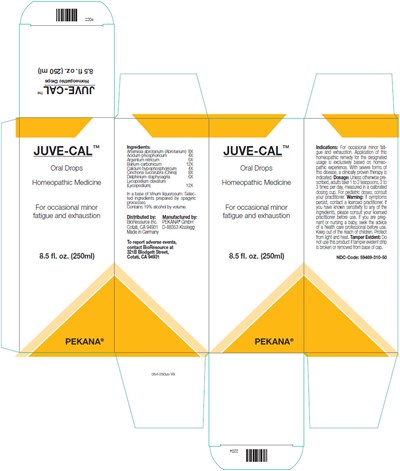 Principal Display Panel - 250 ml Bottle Box - juve cal 01