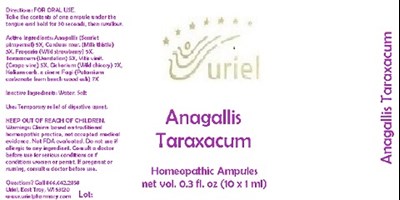 Anagallistaraxacumampule (Anagallistaraxacumampule)