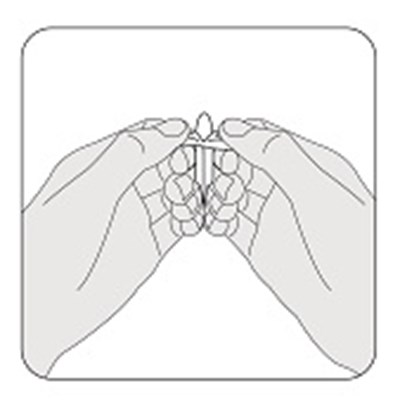Step 2 (Intrarosa 04)