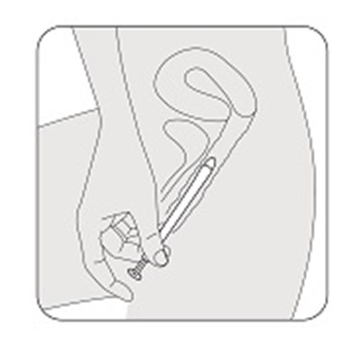 Step 6 (Intrarosa 08)