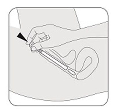 Step 8 (Intrarosa 10)