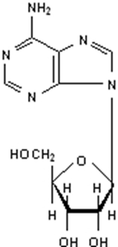 65733370 31bf 4e87 894e 03ef2ab85628 02
