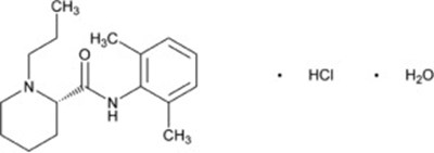 Figure - nar03 0002 01