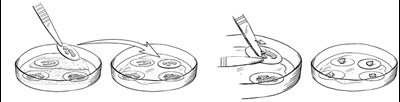 Figure 1 (Rethymic 01)