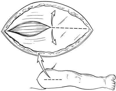 Figure 2 (Rethymic 02)