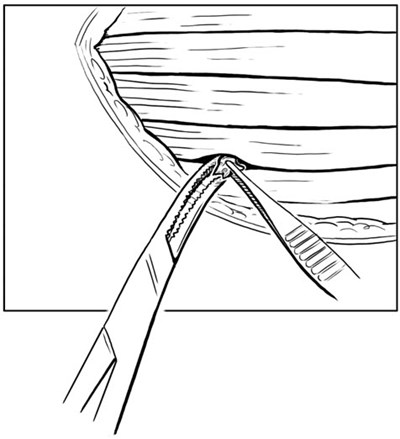 Figure 3 (Rethymic 03)