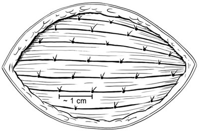 Figure 4 (Rethymic 04)