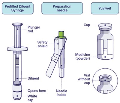 Figure 1 (Yuviwel 02)