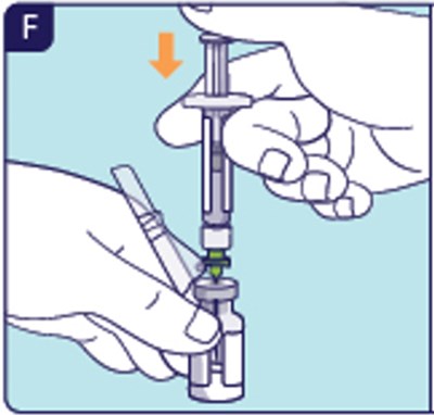 Figure F (Yuviwel 10)