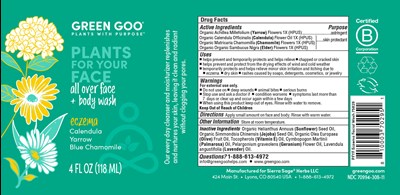 Eczema Face and Body Face Wash - GreenGoo FaceWash ECZEMA 4oz