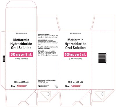 metformin-hydrochloride-oral-solution-500-mg-per-5-3.jpg carton-label - metformin hydrochloride oral solution 500 mg per 5 3