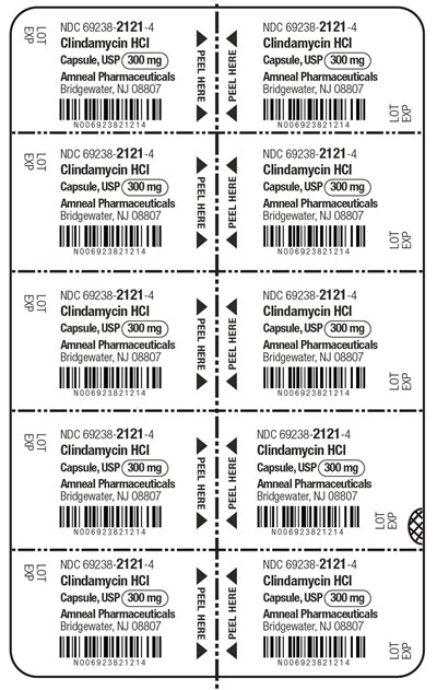 Blister (Clindamycin Hydrochloride Capsules Usp 300mg 2)