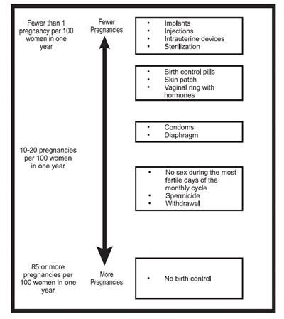 Syeda Figure 4