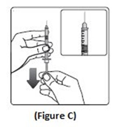 Figure C (Image 08)