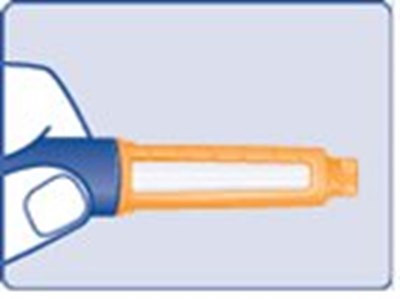 Figure C (Image 33)