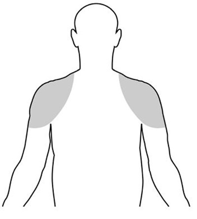 Figure1 (Image 1)