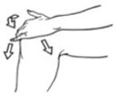 Figure B (Profinac 04)