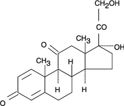 Description (Image)
