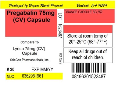 Label (Lbl6362981962)