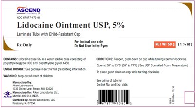 lidocaine-cont-50gm.jpg lidocaine-cont-50gm - lidocaine cont 50gm