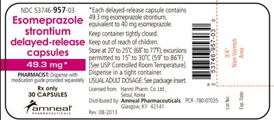 49.3 mg Brand Label (Esomeprazole Strontium Delayed Release Capsules 7)