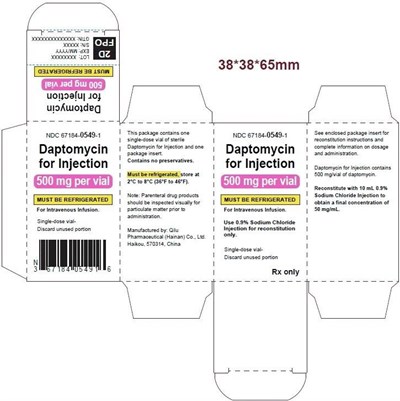 Principal Display Panel (500 mg Carton)