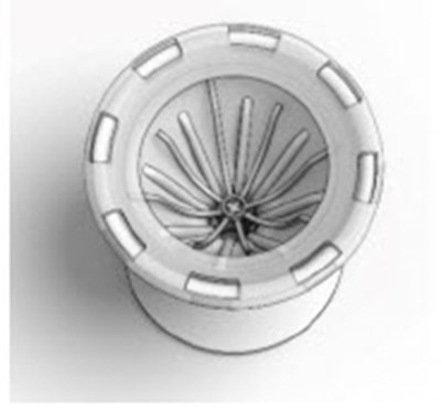 Figure 2 - sinuva 02