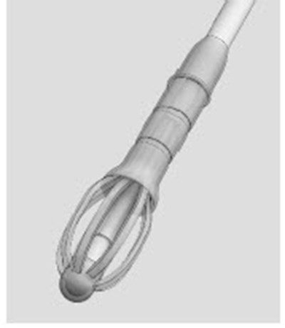 Figure 11 - sinuva 11