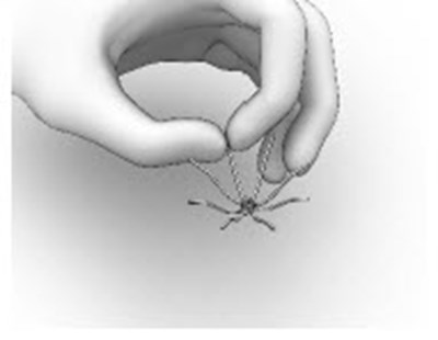 Figure 12 - sinuva 12