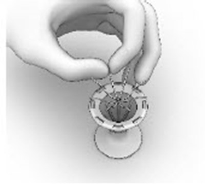 Figure 13 - sinuva 13