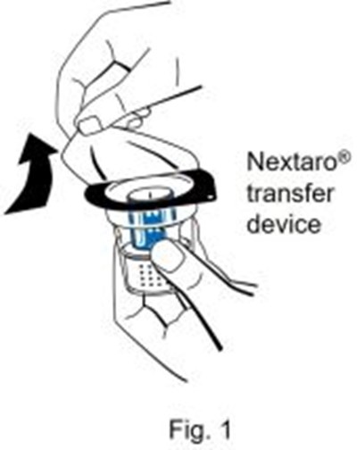 Image File - img0003