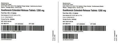 Guaifenesin Label3 Jpg