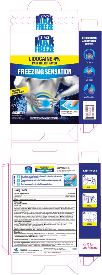 PRINCIPAL DISPLAY PANEL - 3 Patch Pouch Box - lidocaine 01
