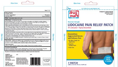 Lidocaine  Patch (Labelimage)