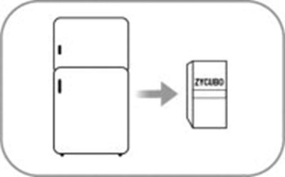 Figure (Zyc03 0002 04)