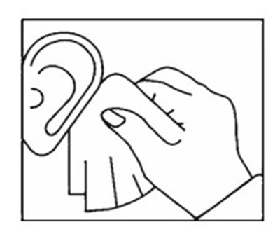 Image2 (Image2)