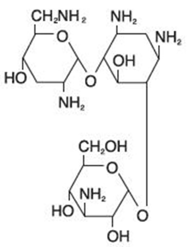 tobramycin - tobramycin chemical