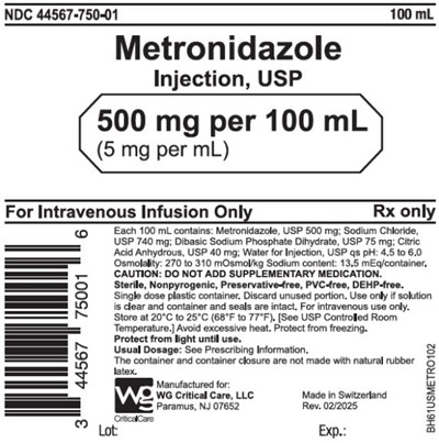 Metronidazole Injection, Usp 500 mg Per 100 mL Bag Image (Image 01)