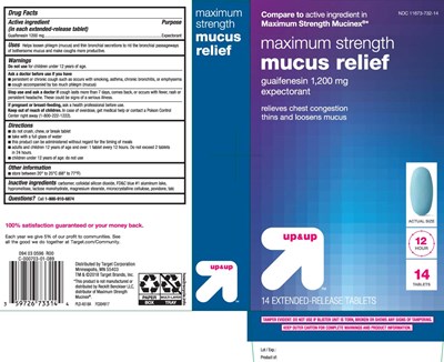 Guaifenesin 1200 mg (Mucus Relief Extended Release Caplets 1)