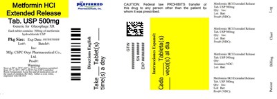Metformin HCl Extended Release Tab Usp 500mg (Metformin 02)