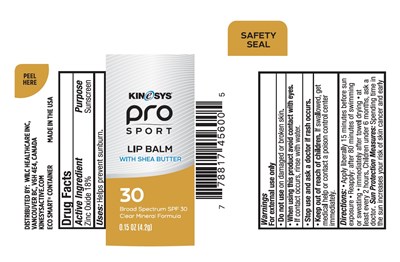 image description - updated 1