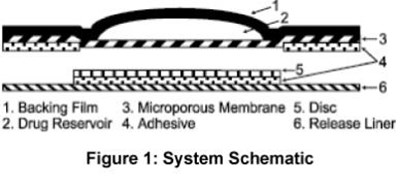 androderm-02.jpg Figure 1: System Schematic - androderm 02
