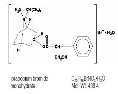 structural-formula.jpg structural-formula - structural formula