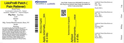 Lidopro® Patch Pain Reliever (Box 53225 1123 3)