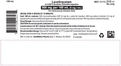 PACKAGE LABEL-PRINCIPAL DISPLAY PANEL - 500 mg per 100 mL (5 mg / mL) - Infusion Bag Label - levetiracetam fig5