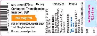 Package Label Principal Display Panel (Car13 0000 03)