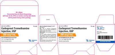 Package Label.principal Display Panel (Car13 0000 04)