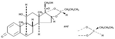 Budesonide Structural Formula (Image 02)